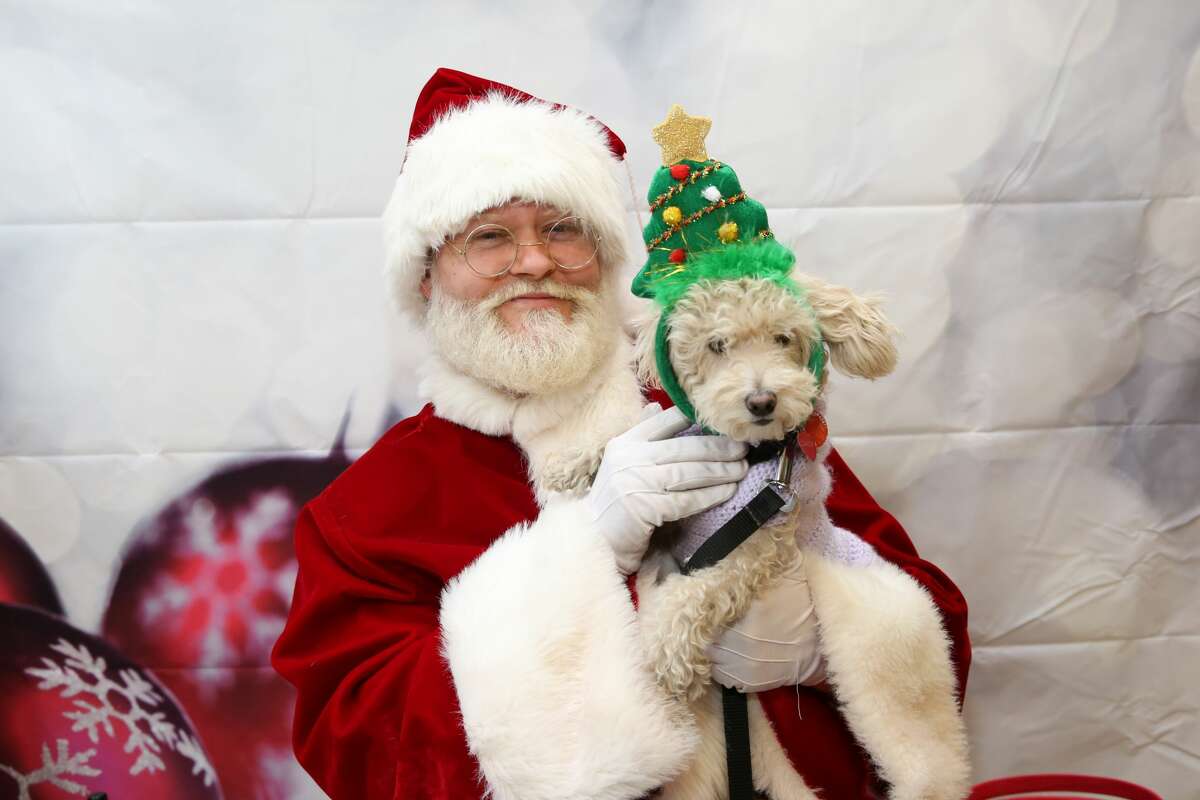 PetSmart shares its hilarious, adorable pet photos with Santa Claus