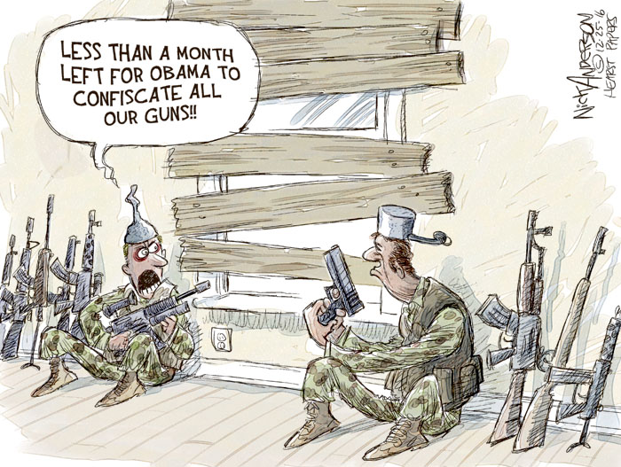 Gun Confiscation