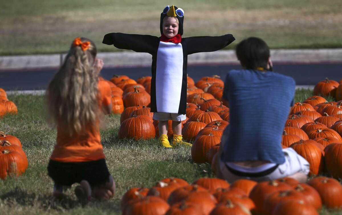 Joseph Dahl-Lacroix (facing away, right) takes a picture Wednesday October 26, 2016 of Luke Cyr,3, in the pumpkin patch at Alamo Heights United Methodist Church. Dahl-Lacroix is one of Cyr's nannies who was taking pictures for Cyr's grandmother. On the left is Dahl-Lacroix's fiance Mackenzie Boeckmann.