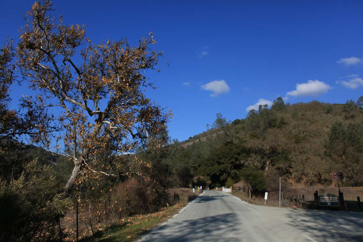 A road winds past the Hunting Hollow entrance at Henry W. Coe State Park on Tuesday, December 13, 2011 in Morgan Hill, Calif.