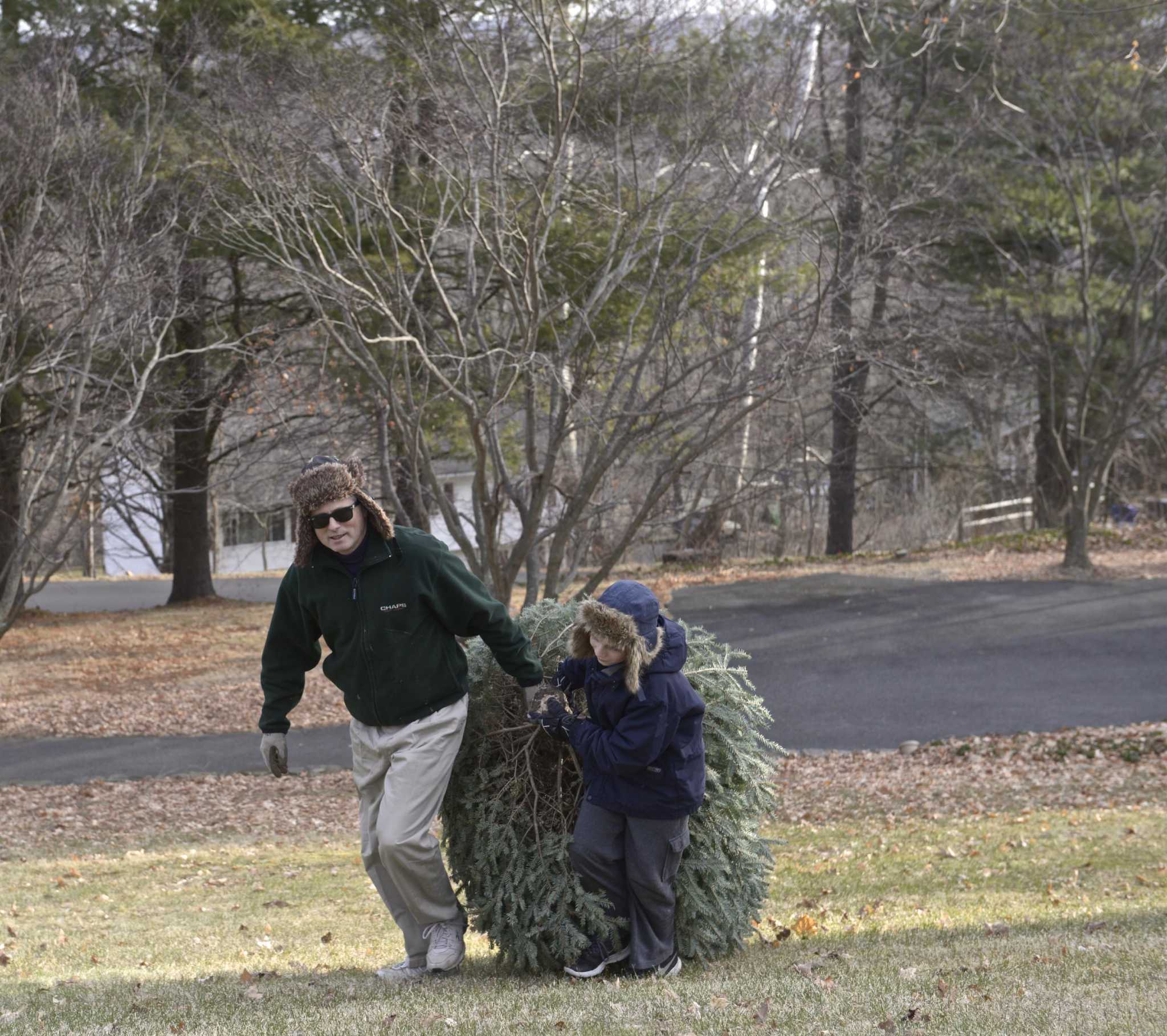 Boy Scouts to collect Christmas trees in Newtown