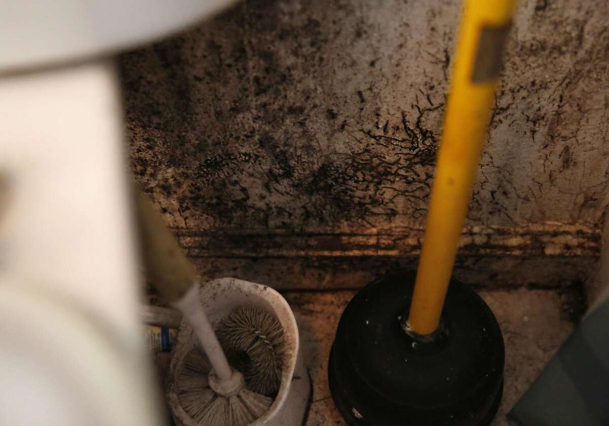 Mold is seen covering the wall behind a toilet of a renter's apartment who did not want to be identified during a tour from Oakland City Council District 5 member Noel Gallo around his district for the Chronicle Dec. 21, 2016 in Oakland, Calif.