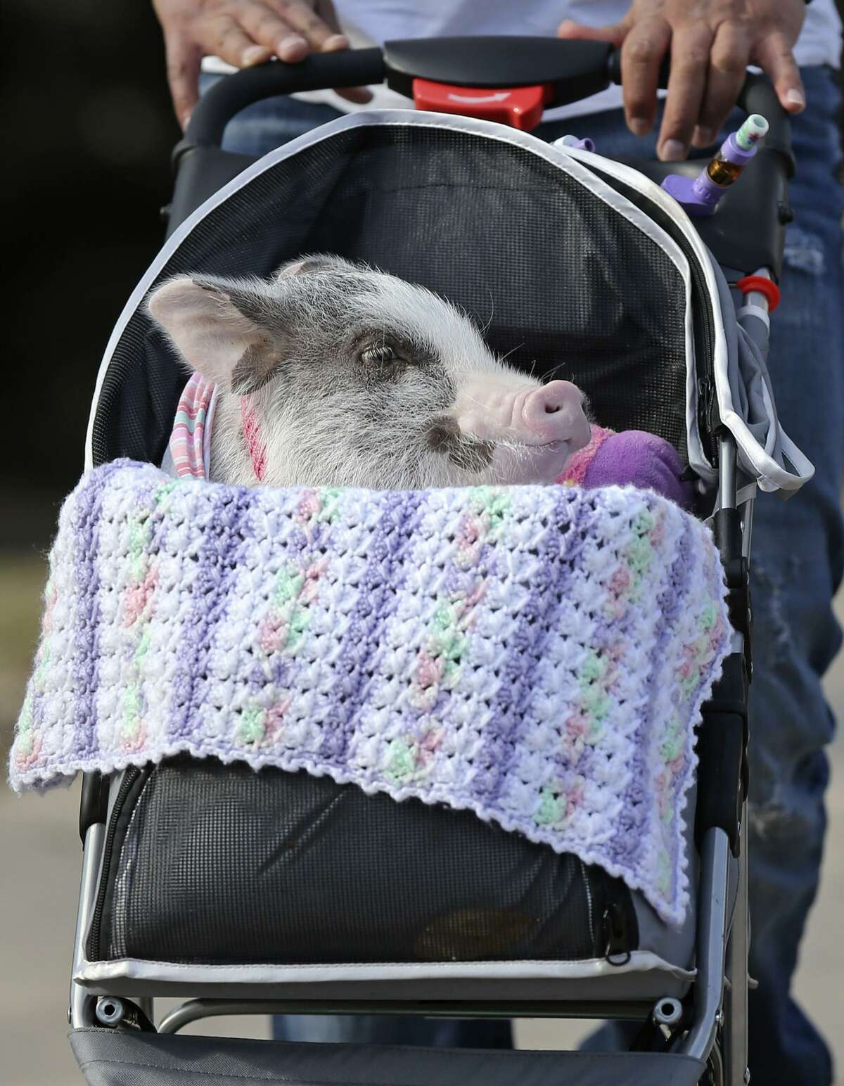 Pictures of the Year Edward Ornelas