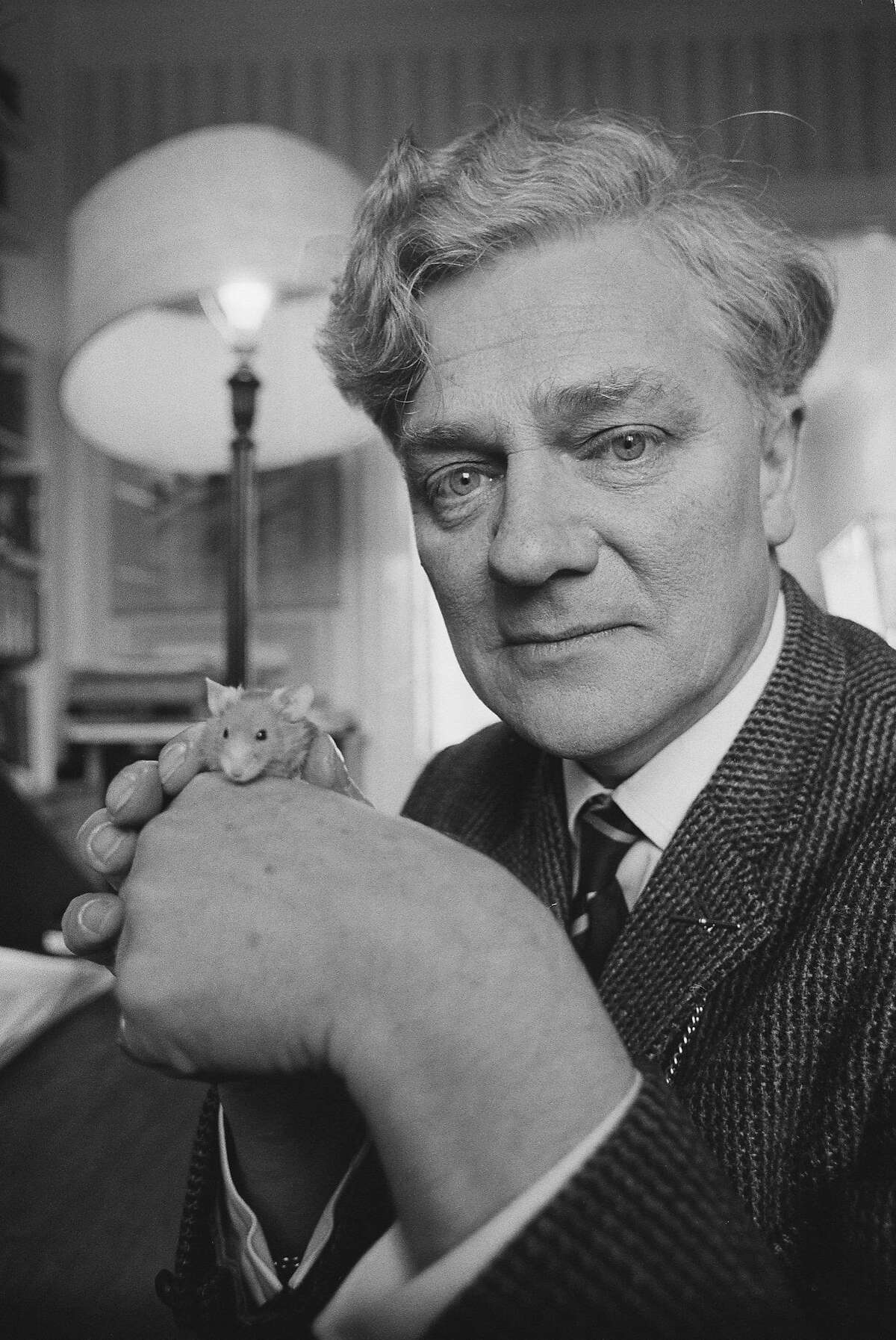 Richard Adams Author Of 70s Sensation ‘watership Down Dies