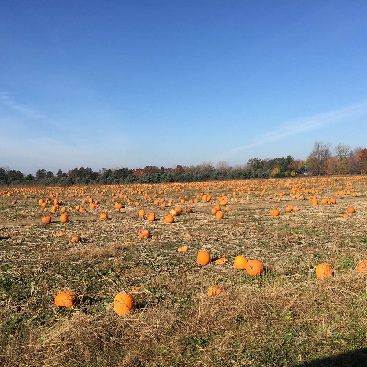 Best places to visit in Michigan