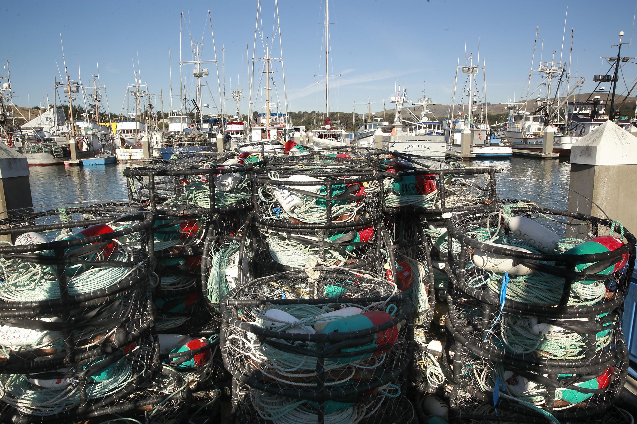 Dungeness crab fishermen go on strike