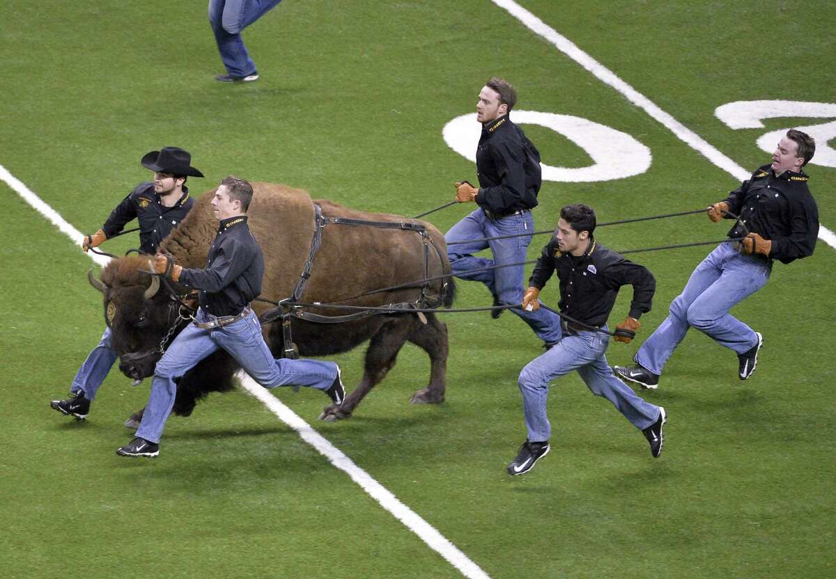 Colorado mascot, Ralphie the buffalo, runs on the field before the Alamo Bowl, Thursday, Dec. 29, 2016, at the Alamodome in San Antonio. (Darren Abate/For the Express-News)