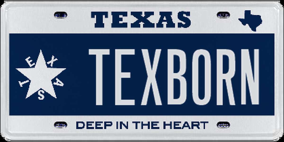 The most 'classic and clever' customized Texas license plates of 2016