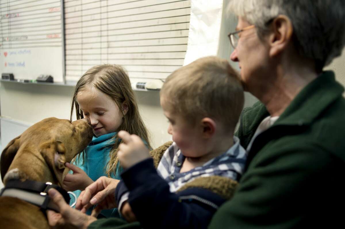BRITTNEY LOHMILLER | blohmiller@mdn.net Labrador and chow mix, Tut, gives 8-year-old Natalie Glas of Kalamazoo a kiss while Caleb Glas, 2, of Kalamazoo and Donna DuBois of Sanford pet the dog at the Humane Society of Midland County in this 2015 file photo.