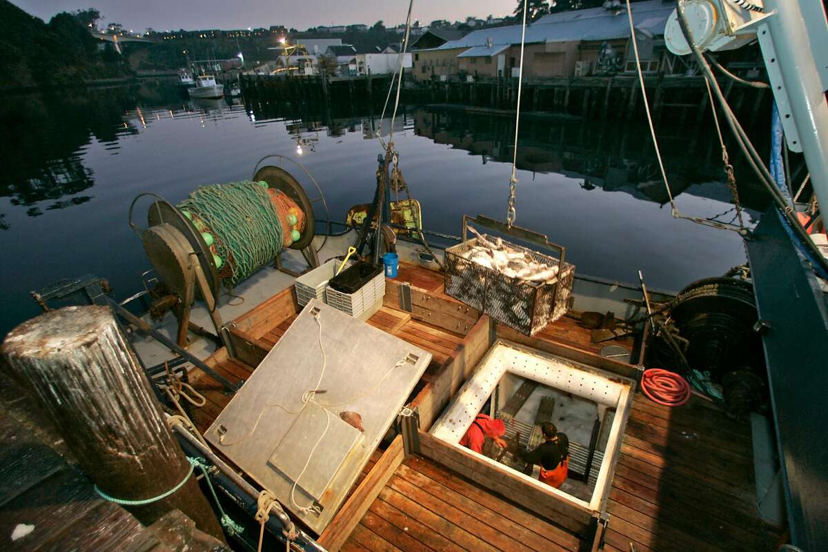 NCOAST_NOYO_253_MJM.jpg Before sunrise in Noyo Harbor, at the Caito Fisheries dock, workers unload groundfish from the icy hold of the trawler "Stormbringer". Noyo Harbor at the south end of Fort Bragg still supports a commercial fishery with a small fleet of salmon boats and groundfish trawlers. Rediscovering California's North Coast. A kayak voyage by Paul McHugh, Bo Barnes and John Weed. A paddle from the Oregon border to the SF bay. Photo taken on 9/29/05 in Fort Bragg, CA by Michael Maloney / San Francisco Chronicle