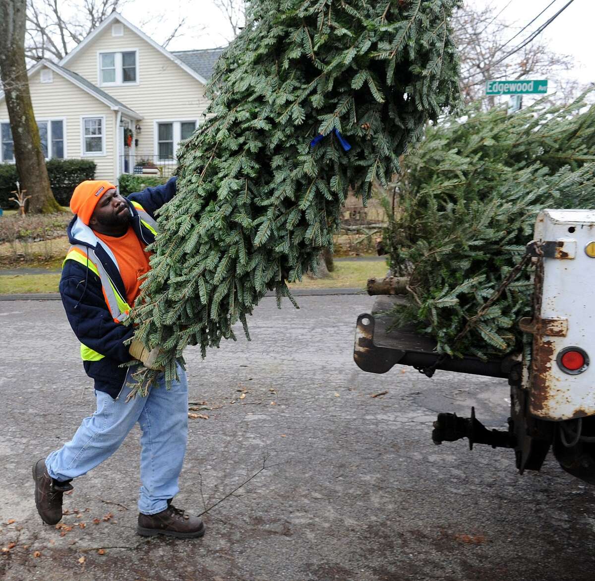 Stamford begins Christmas tree pickup