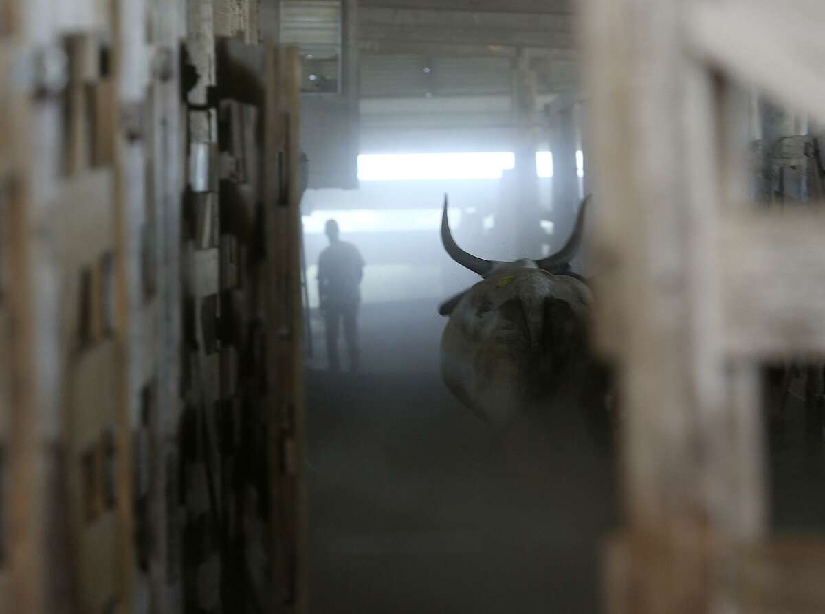 Beef prices down — but still lagging cattle price drop