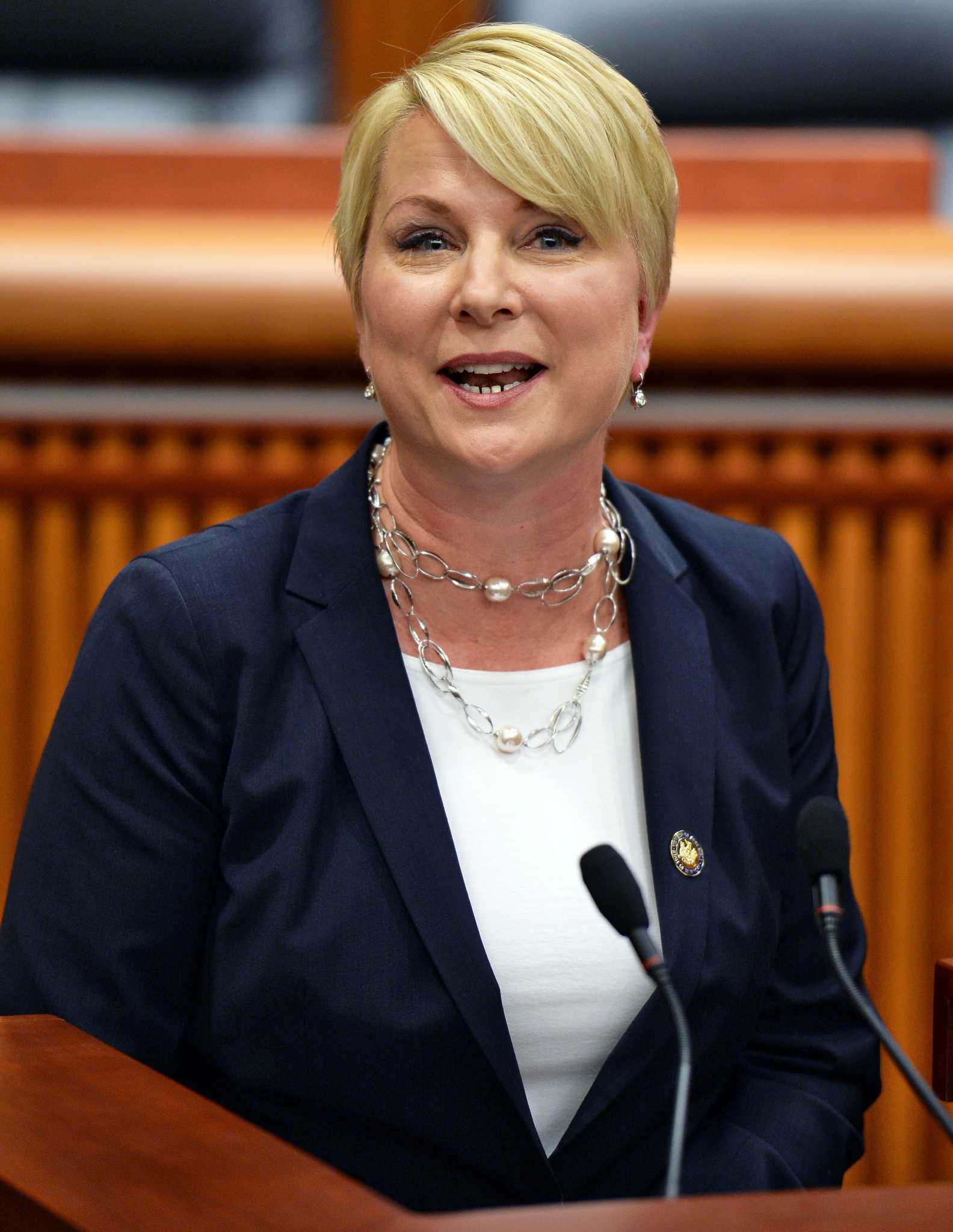 State lawmaker's first term begins