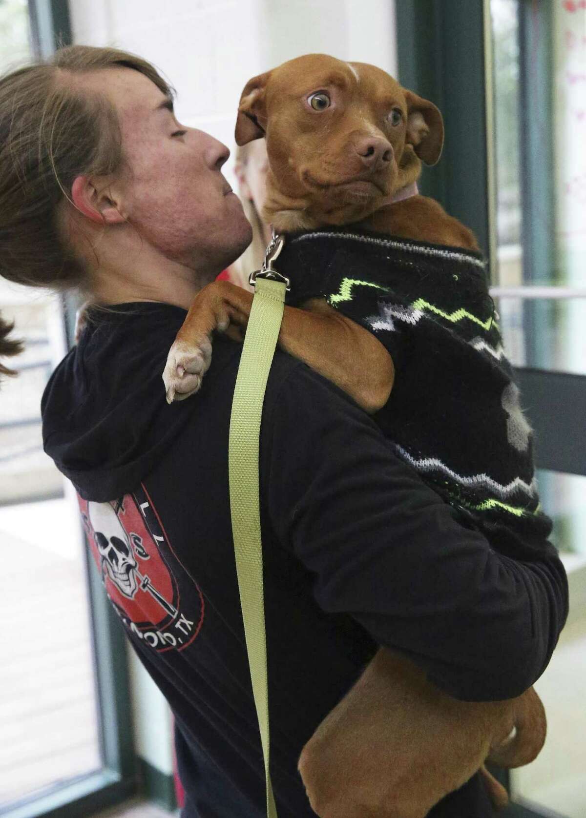 Brittany Rucker gets an arm load of Buster after animal care workers assured that he liked to be carried by visitors at the Paul Jolly Center for pet adoption on January 4, 2016.