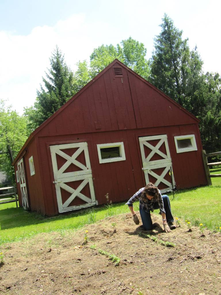 Fairfield woman inspired to start farm to help those affected by cancer