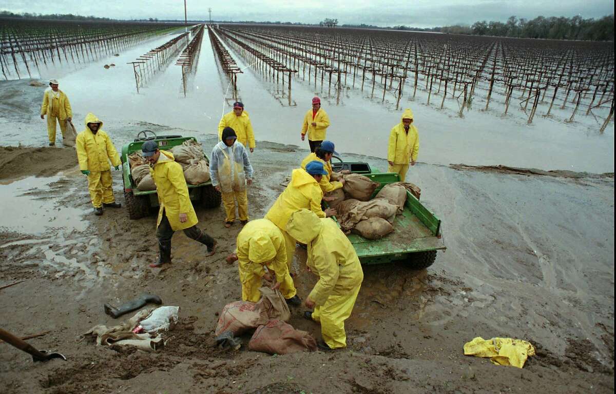 1997年1月2日，星期四，加利福尼亚州威尔顿附近的一条道路上，农场工人们正忙着用沙袋填塞，当时苏普恩斯河的河水已涨过堤岸，流入附近的一块葡萄地。照片/ Steve Yeater为)