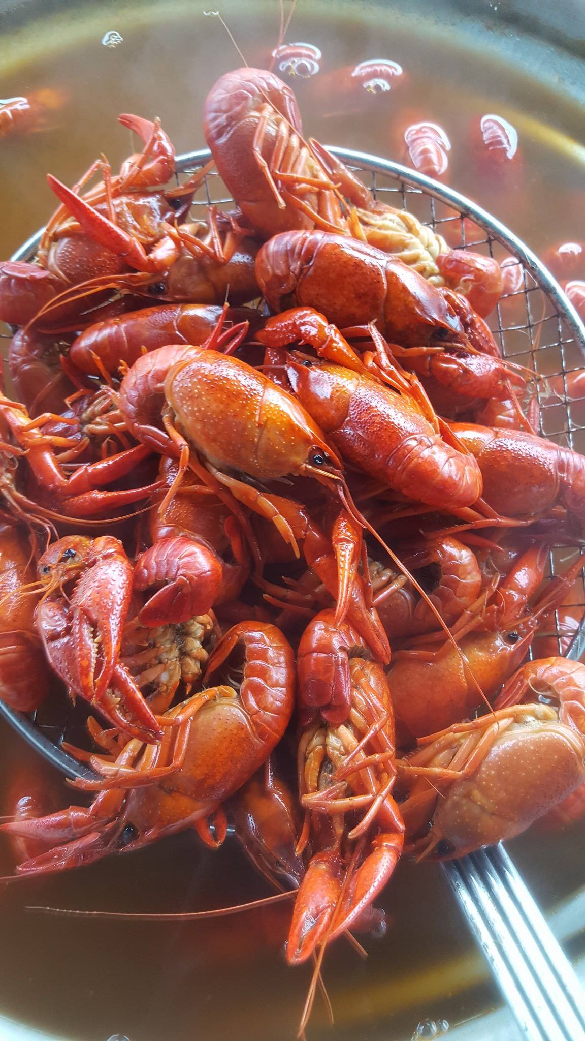 Astros Crawfish Boil: March 23, 2018 - The Crawfish Boxes