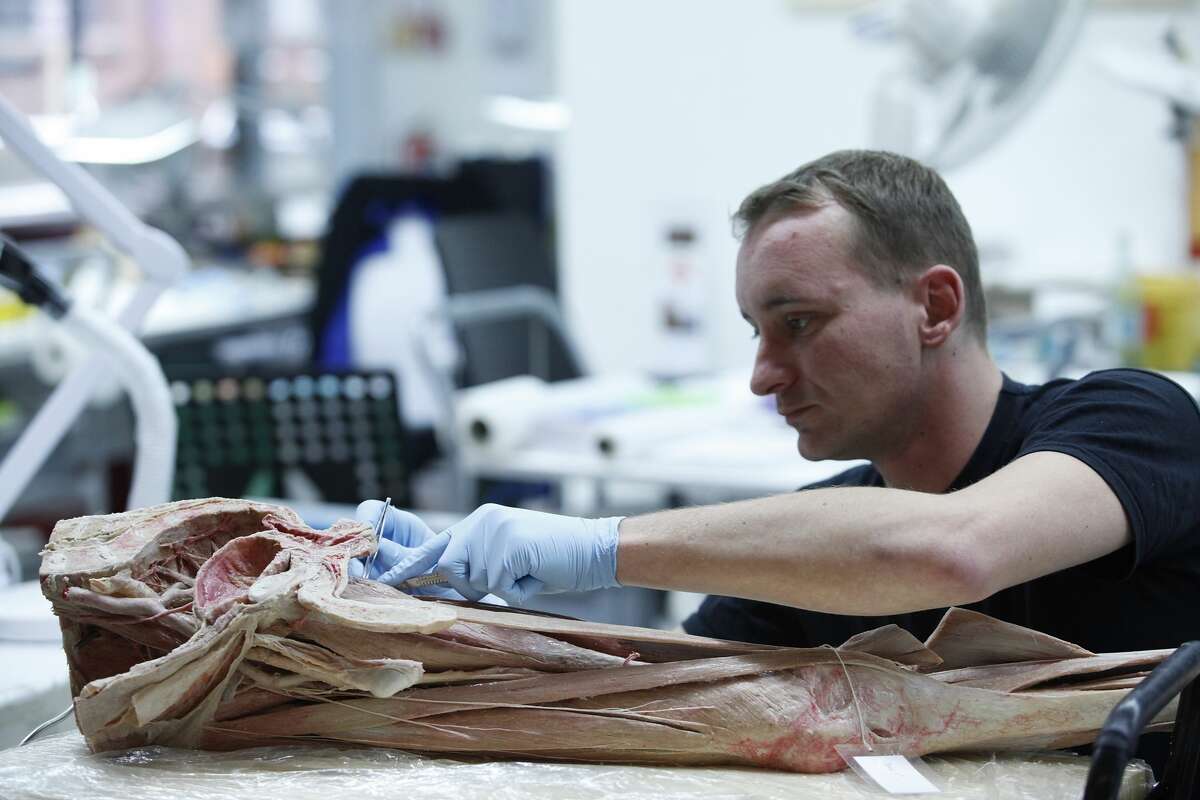 Eyepopping Body Worlds RX exhibit coming to Houston for fourmonth run