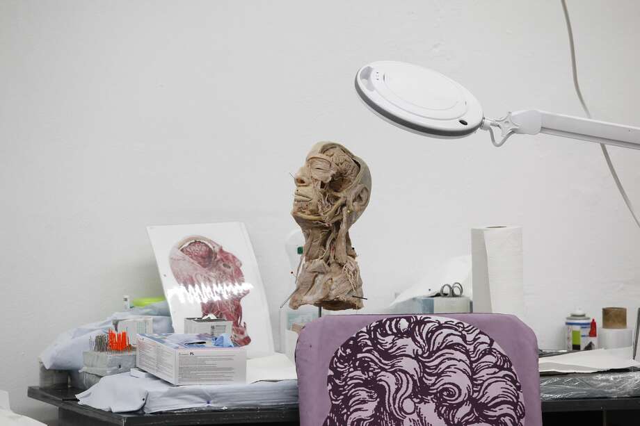 Eyepopping Body Worlds RX exhibit coming to Houston for fourmonth run