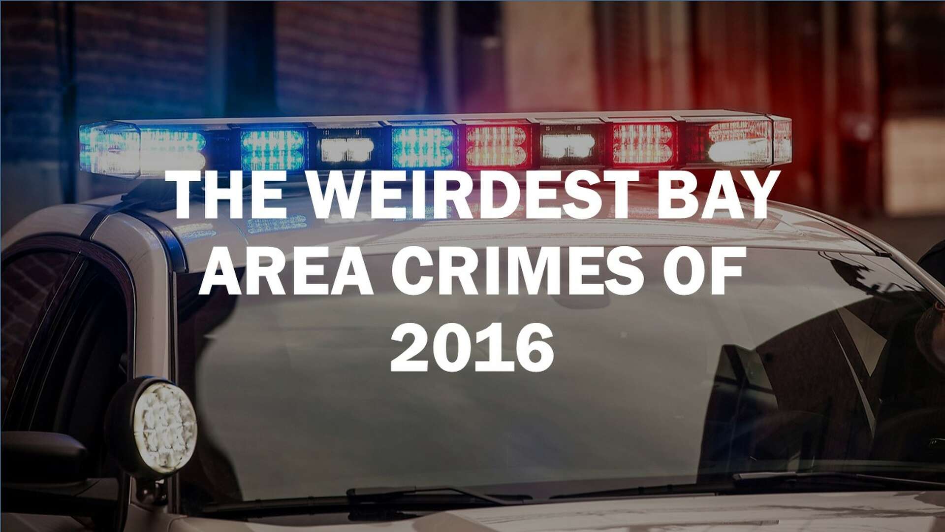 Couple duped by Craigslist ad into renting vacant North Bay home