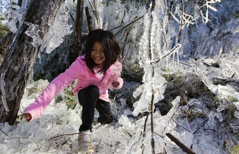 Busted Water Line Creates Winter Wonderland For Woodlands