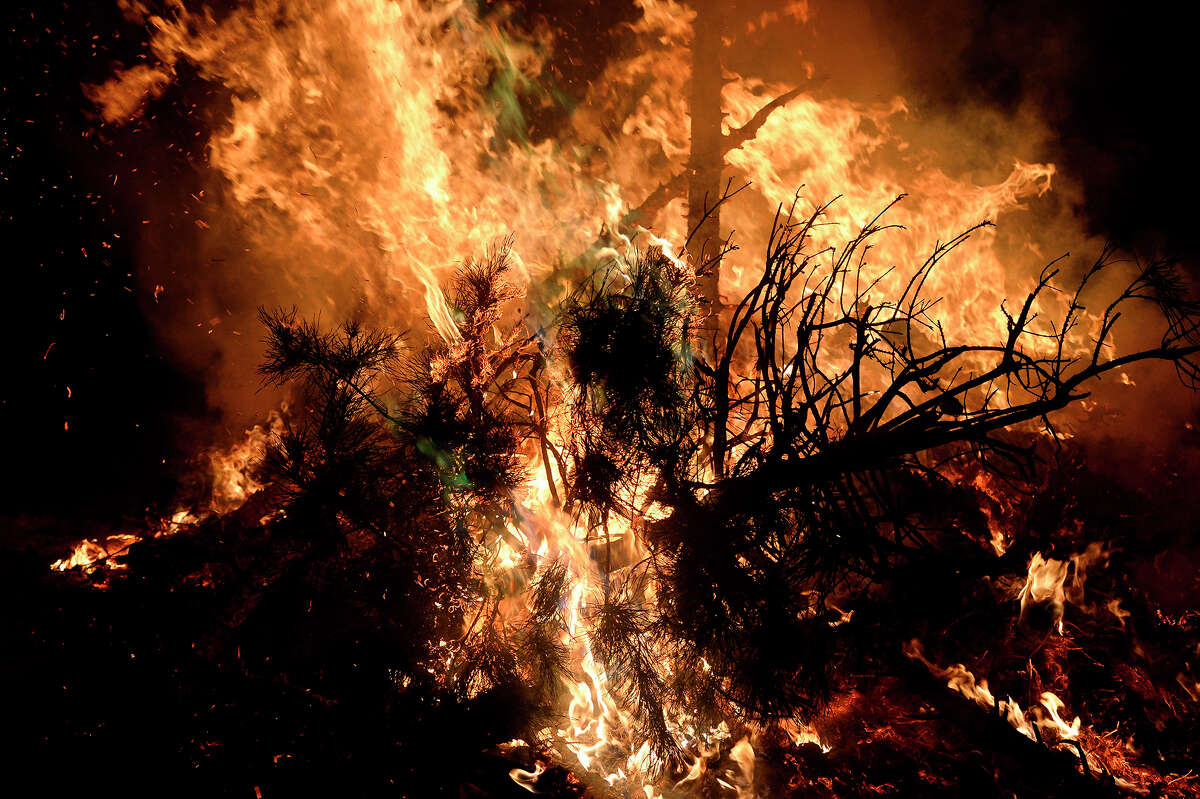 Church burns Christmas trees in annual event