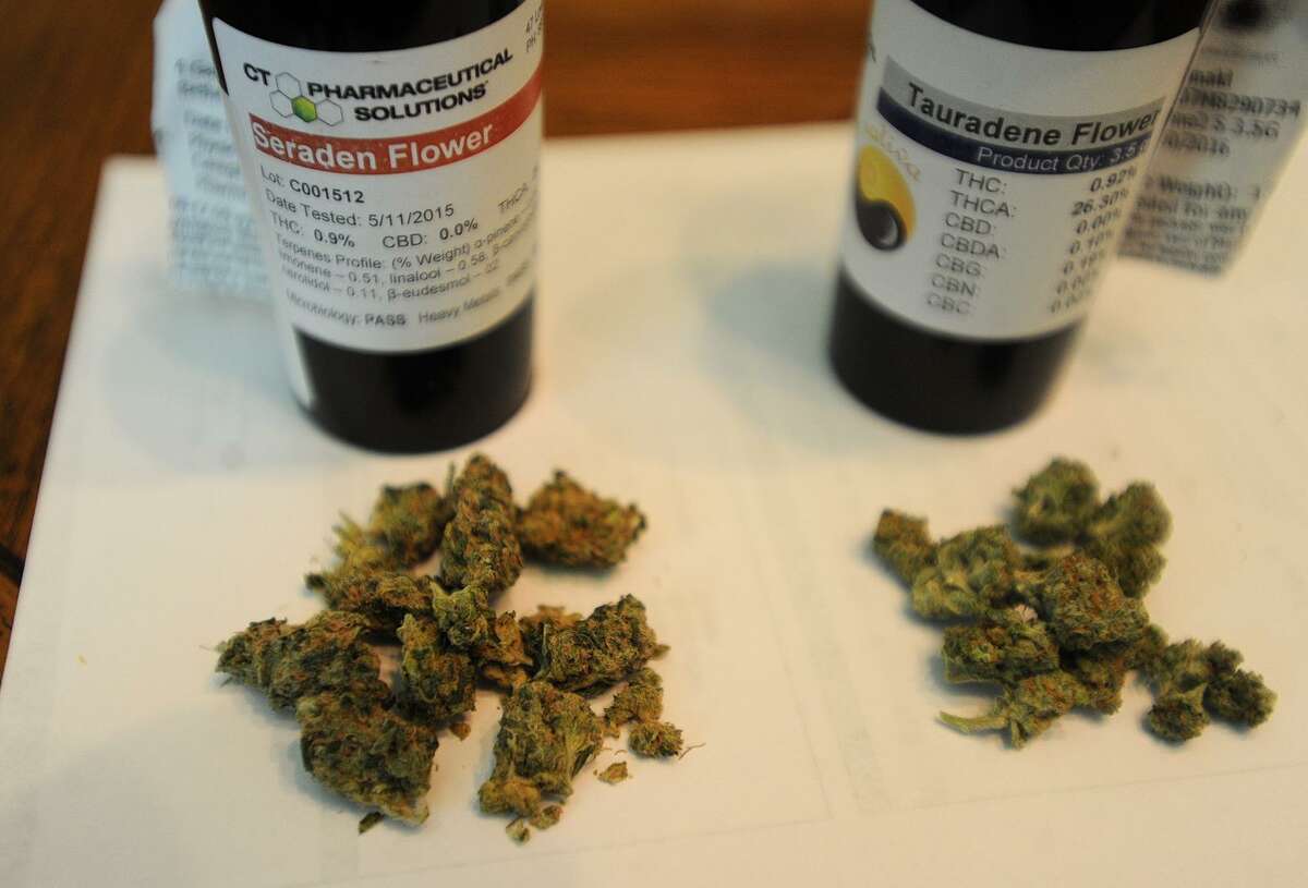A file photo shows buds from the Cannibis Sativa, left, and Cannibis Indica plants, two of the varieties of medical marijuana used by medical marijuana patients. MOre than 1,000 Texas veterans signed a petition that calls for Legislature to pass a bill that would allow doctor-recommended use of marijuana for medical conditions, not just epilepsy. Click ahead to view where it's legal to smoke recreational, medical marijuana in the U.S.