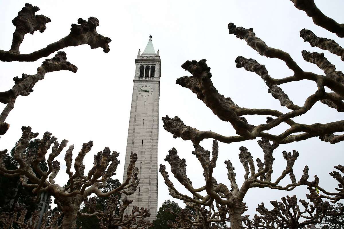 Sather Tower rises above rows of trees near its base at UC Berkeley on Tuesday, Jan. 27, 2015. The university is commemorating the 100th birthday of the 307-foot tower, which is commonly known as the Campanile.