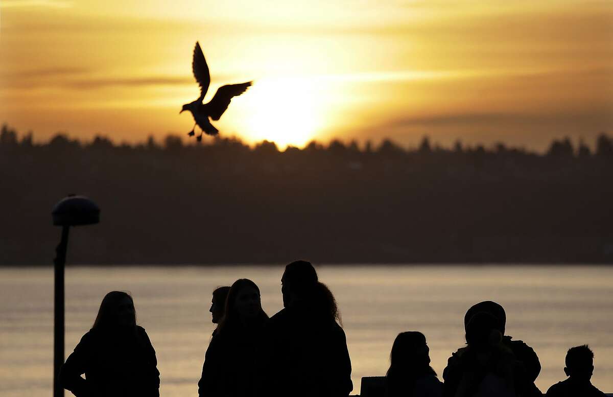 A seagull comes in for a landing as people watch the sunset over Elliott Bay on the winter solstice, Wednesday, Dec. 21, 2016, in Seattle. The winter solstice has the shortest period of daylight and the longest night of the year. (AP Photo/Elaine Thompson)