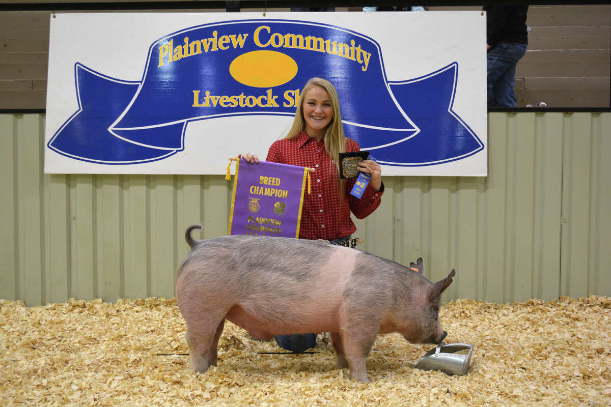 Grand Champion Swine Plainview Community Stock Show