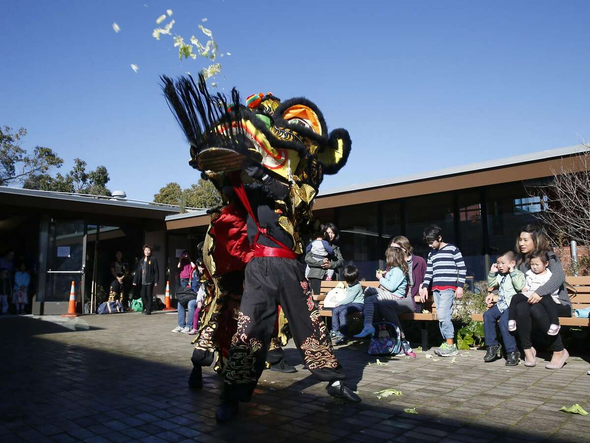 A Chinese lion "spits" lettuce greens during a traditional lion dance performance by Rick Wing and Remus Barraca of the Jing Mo Athletic Association in advance of Chinese New Year at the Merced Branch library in San Francisco, Calif. on Saturday, Jan. 14, 2017. The Lunar New Year begins on Jan. 28.