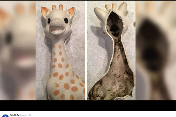 giraffe chew toy