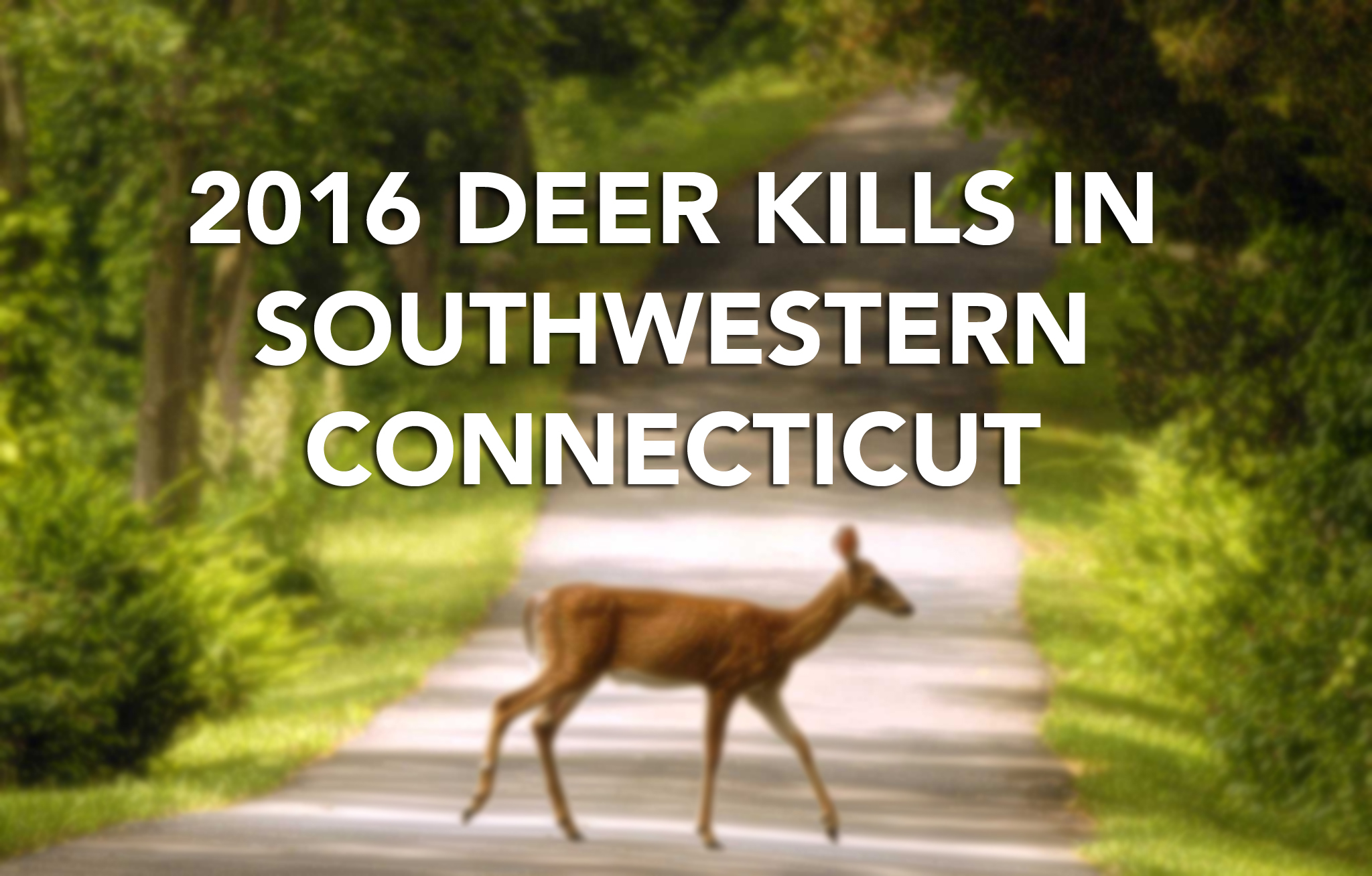 Fairfield County ranks high in 2016 deer hunt