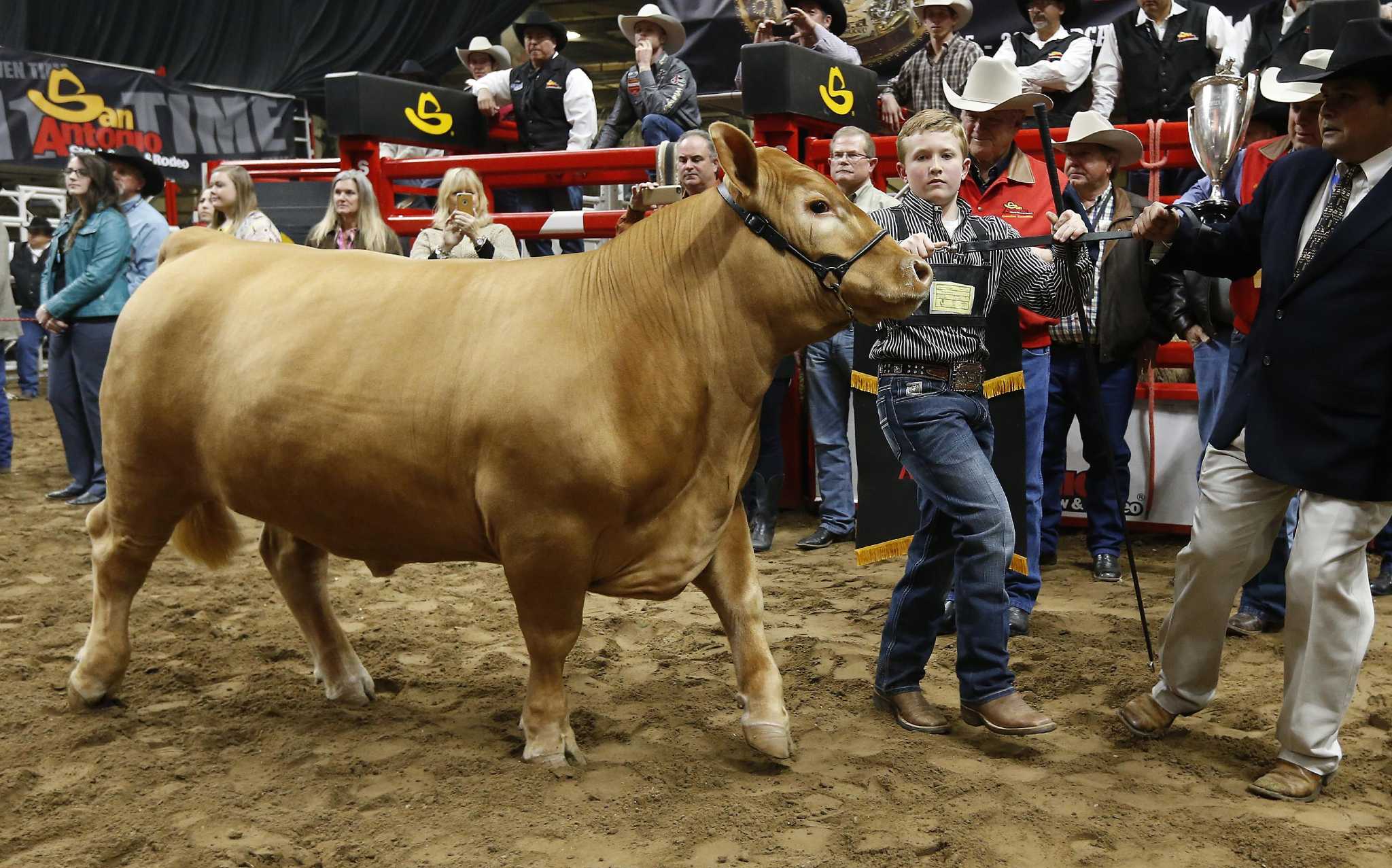 Millions At Stake At San Antonio S Junior Livestock Show San