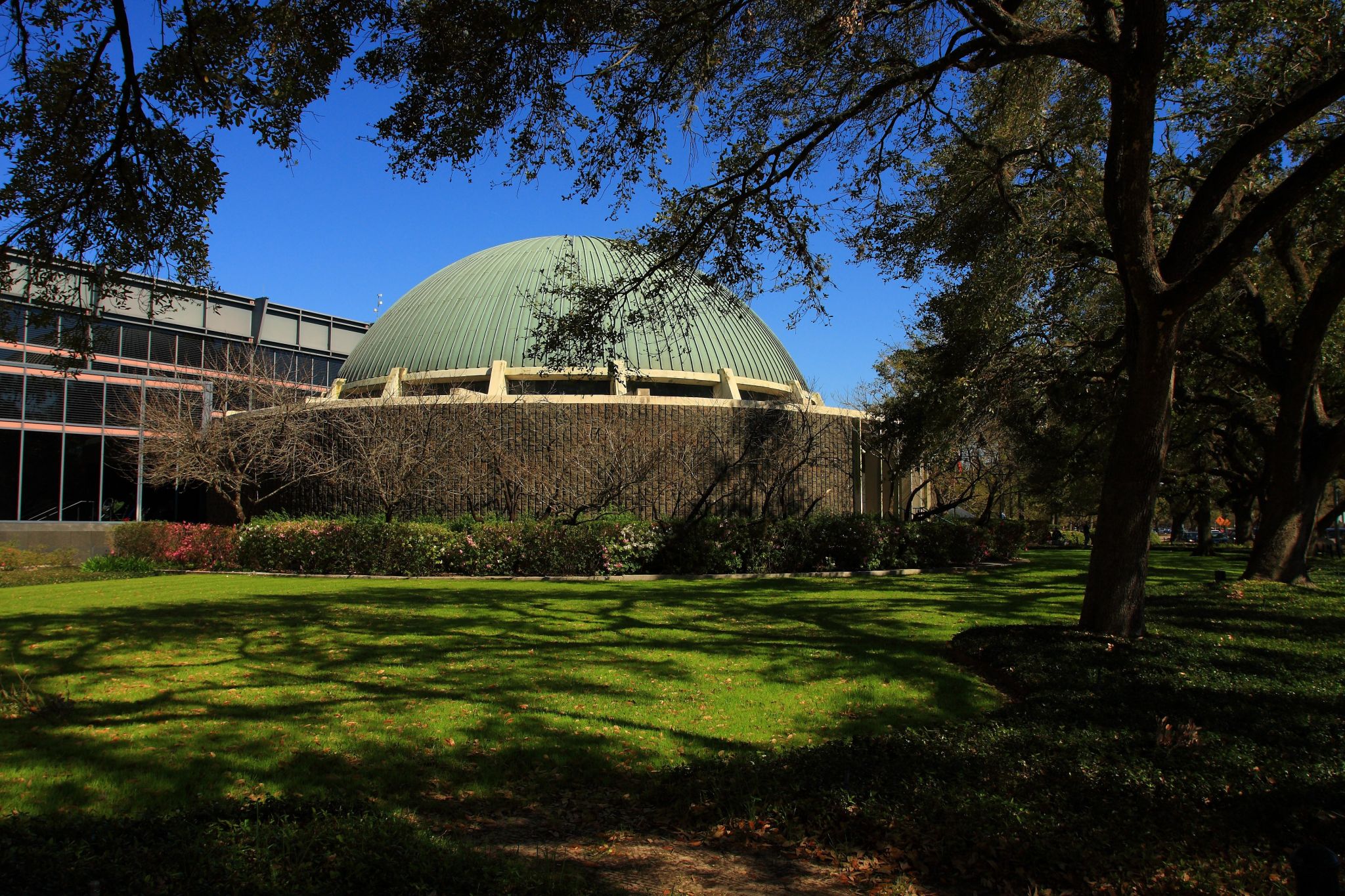 Houston's Museum of Natural Science apologizes for questionable email