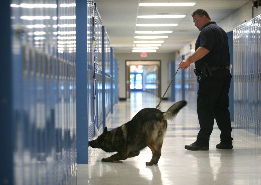Drugsniffing dogs show students they're 'ruff' and ready