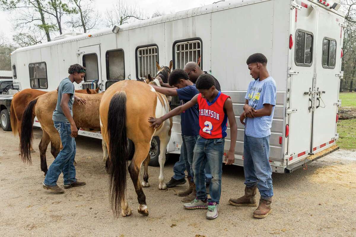 January 21, 2017: Members of The Original OTC (Oklahoma Texas Connection) trail riding group, inspect their horses at Bruno's Triangle 7 Arena in Houston, Texas. (Leslie Plaza Johnson/Freelance)
