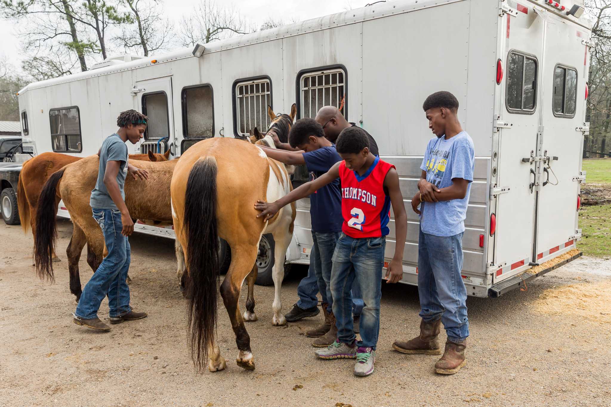 Houston ranchers ready horses for rodeo trail rides