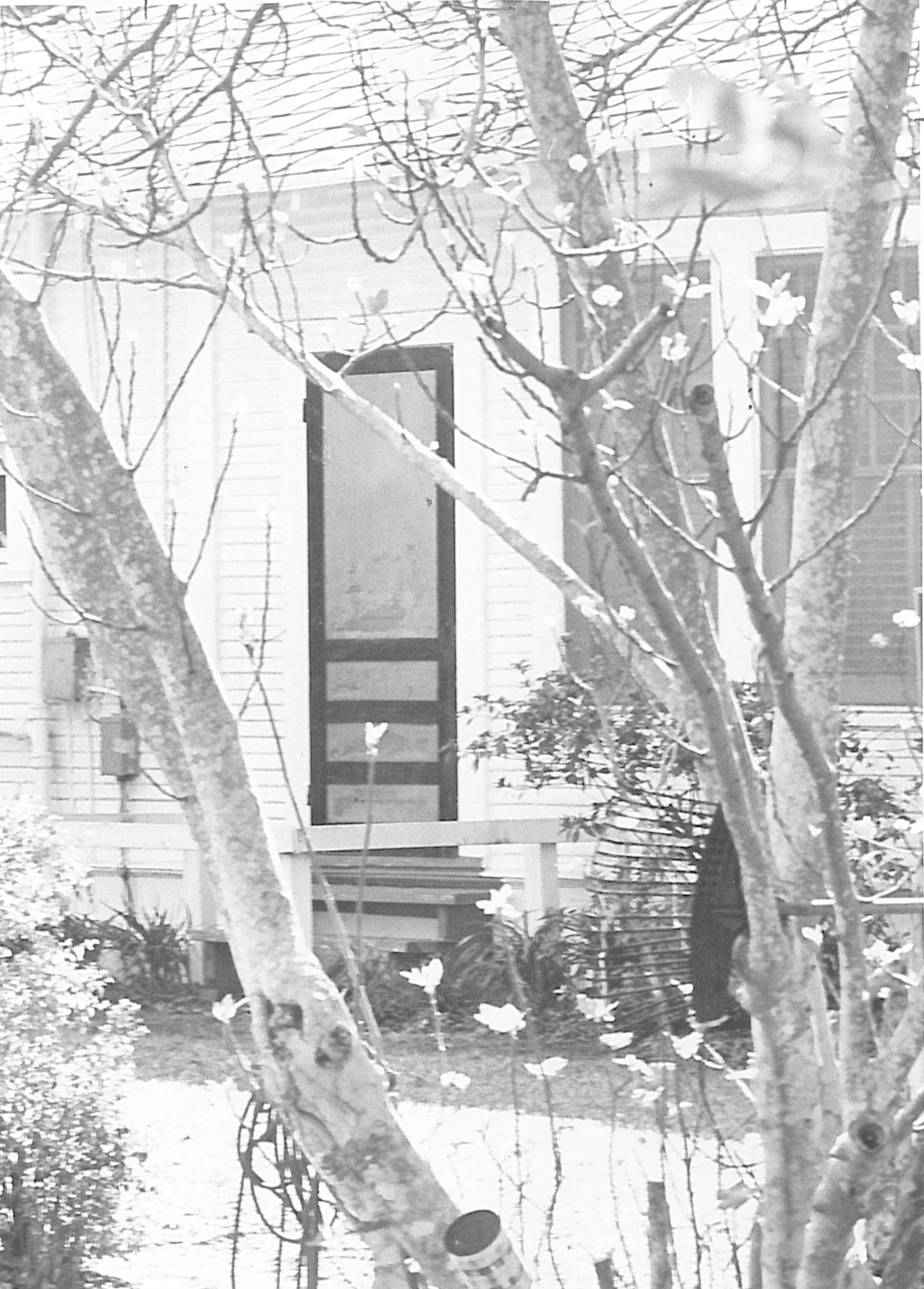 In 1969, screendoor Jesus incited religious fervor in Port Neches