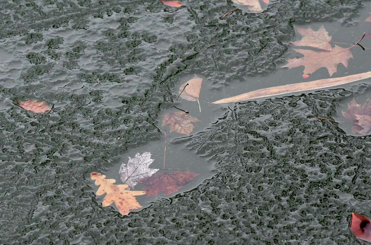 Leaves occupy smooth pockets of ice amid the pockmarked frozen sheen that covers Washington Park Lake on Monday, Jan. 23, 2017, in Albany, N.Y. (Will Waldron/Times Union)