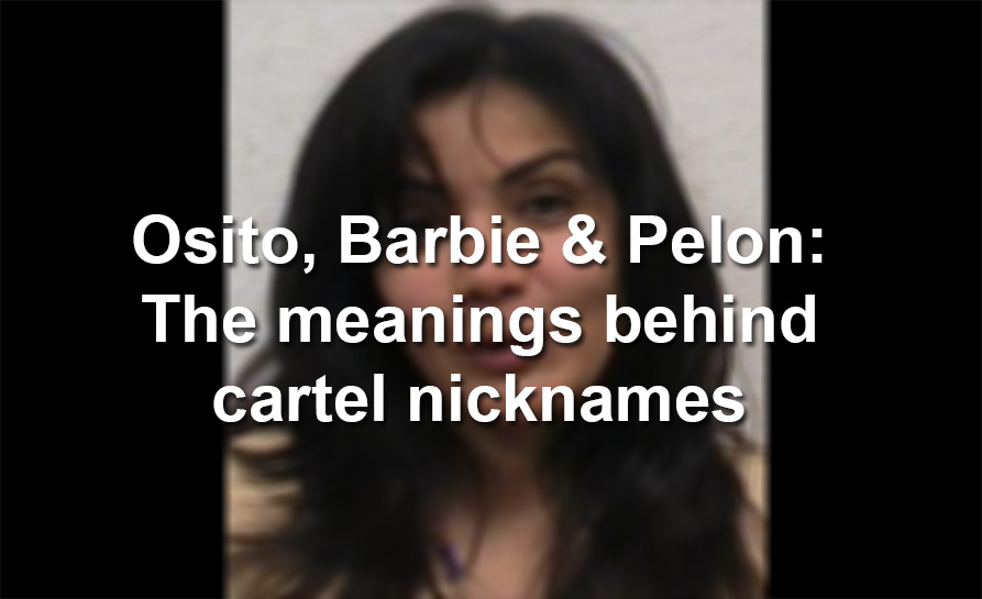 Behind the nicknames of notorious Mexican drug cartel figures