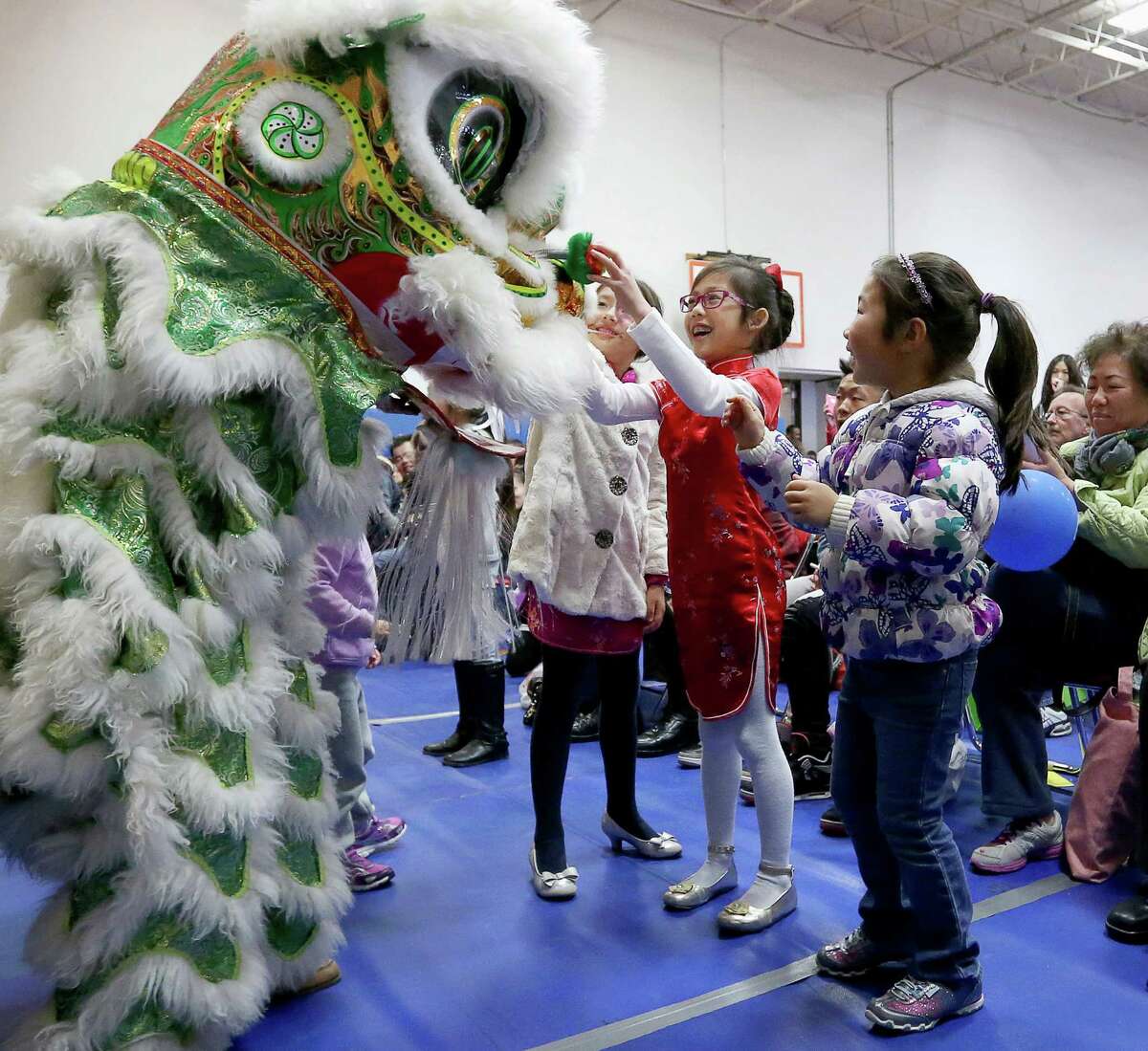 Children pet a lion during a lion dance at the Lunar New Year Festival at the Chinese Community Center Saturday, Feb. 6, 2016, in Houston. ( Jon Shapley / Houston Chronicle )