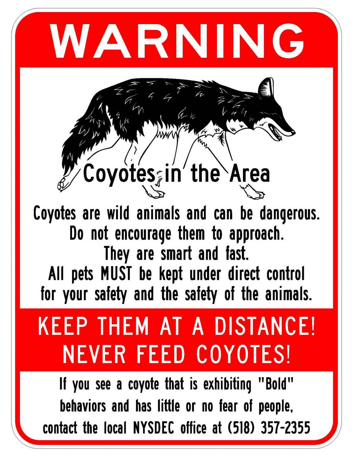 How To Avoid Conflict With Coyotes