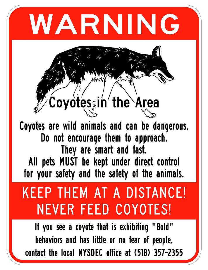 Coyote in area of bike path attack is killed Times Union