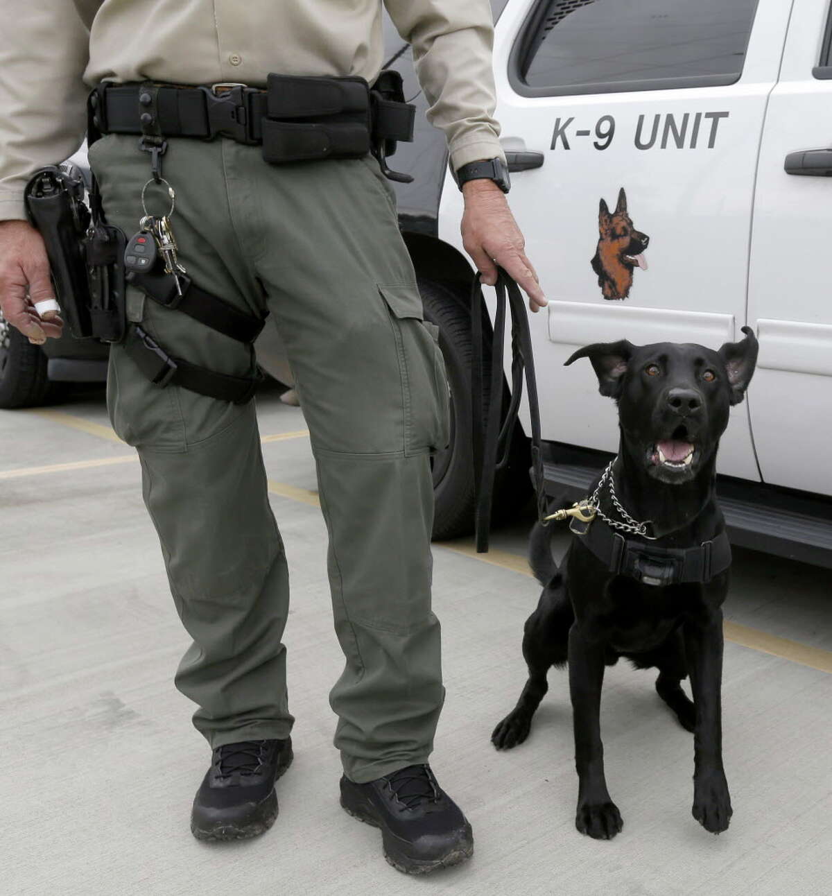Los Angeles County Sheriff's Deputy Richard Faulk with his K-9 partner, Clyde, are shown after a swearing-in ceremony of police officers as Special Deputy U.S. Marshals for Super Bowl LI held at the Houston Police Officers Union, 1600 State St., Wednesday, Jan. 25, 2017, in Houston. Police officers traveled from across the country and some as far as Guam to be temporary U.S. Marshals for the upcoming Super Bowl LI.