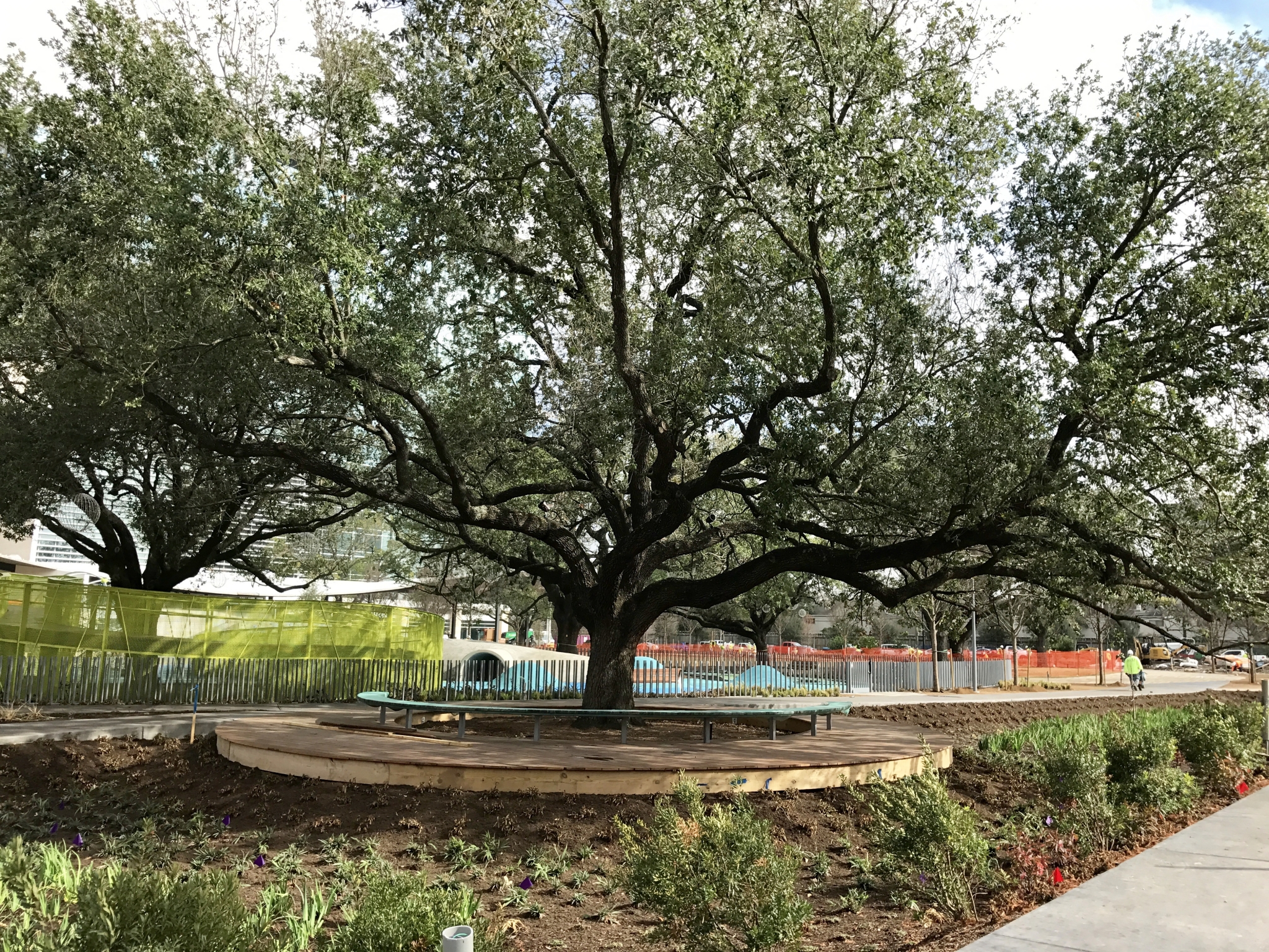 Houston youth excited about the new skatepark at Burnett-Bayland Park 