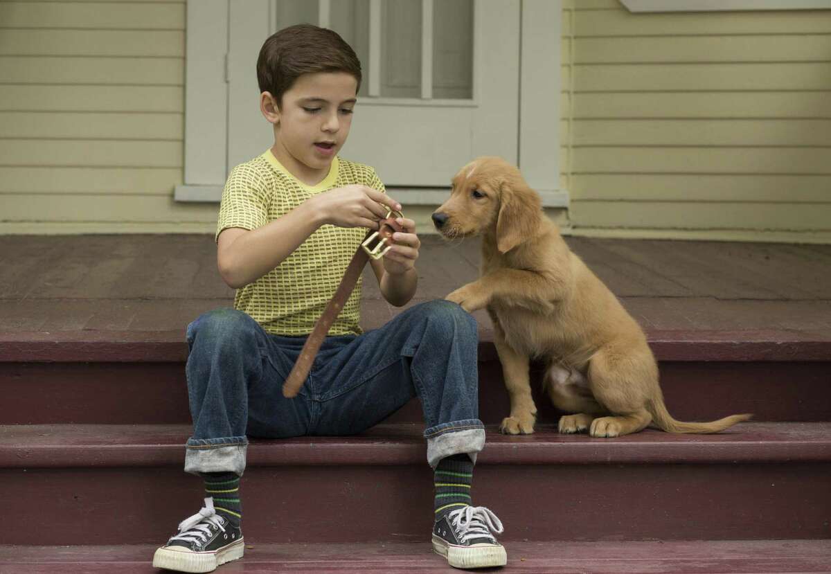 Bryce Gheisar with the dog as a puppy in a scene from “A Dog's Purpose.”
