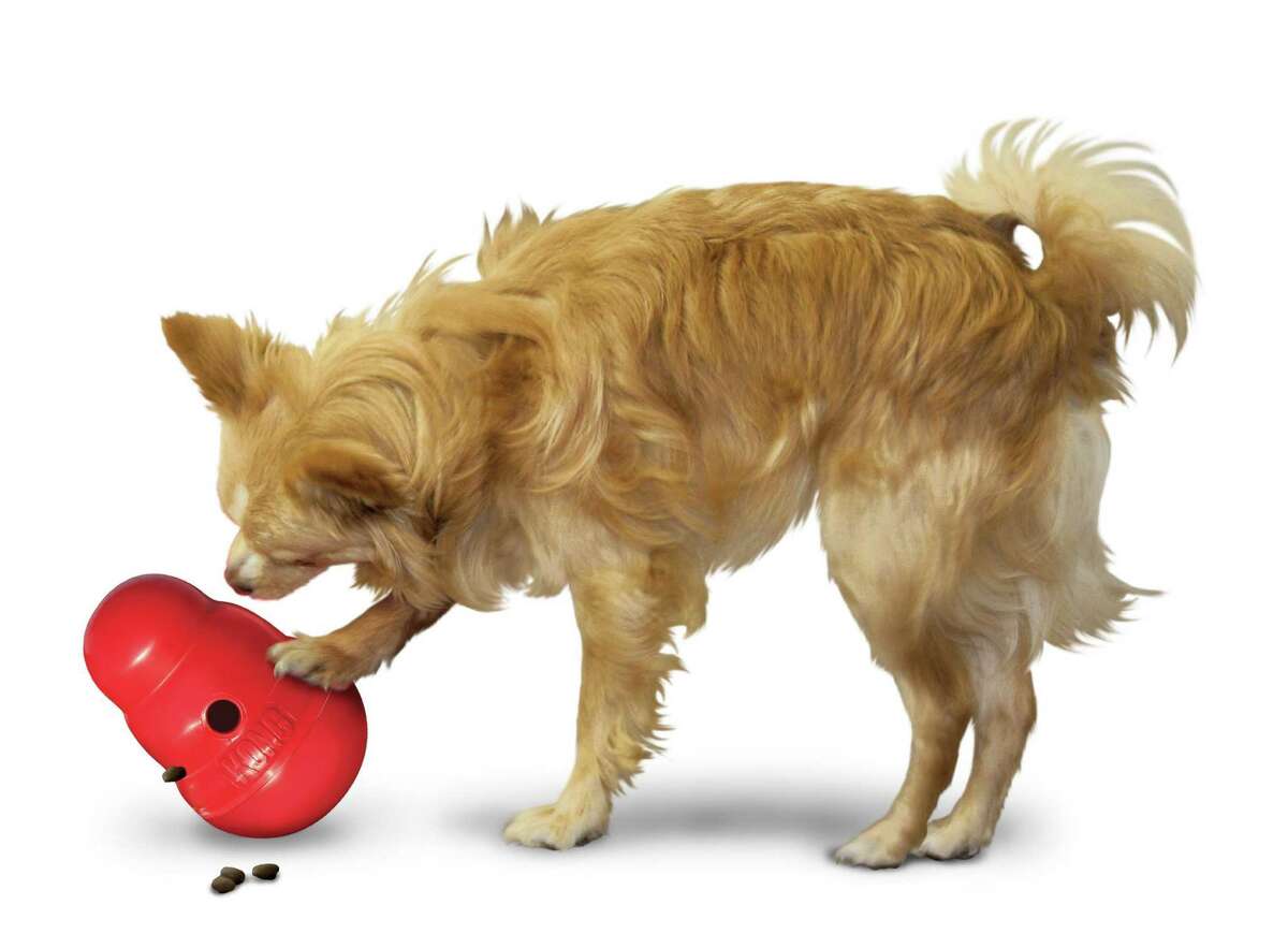 A Kong Wobbler is a treat dispensing toy that can keep your dog active and moving around as he tries to figure out how to dispense a treat from the toy.