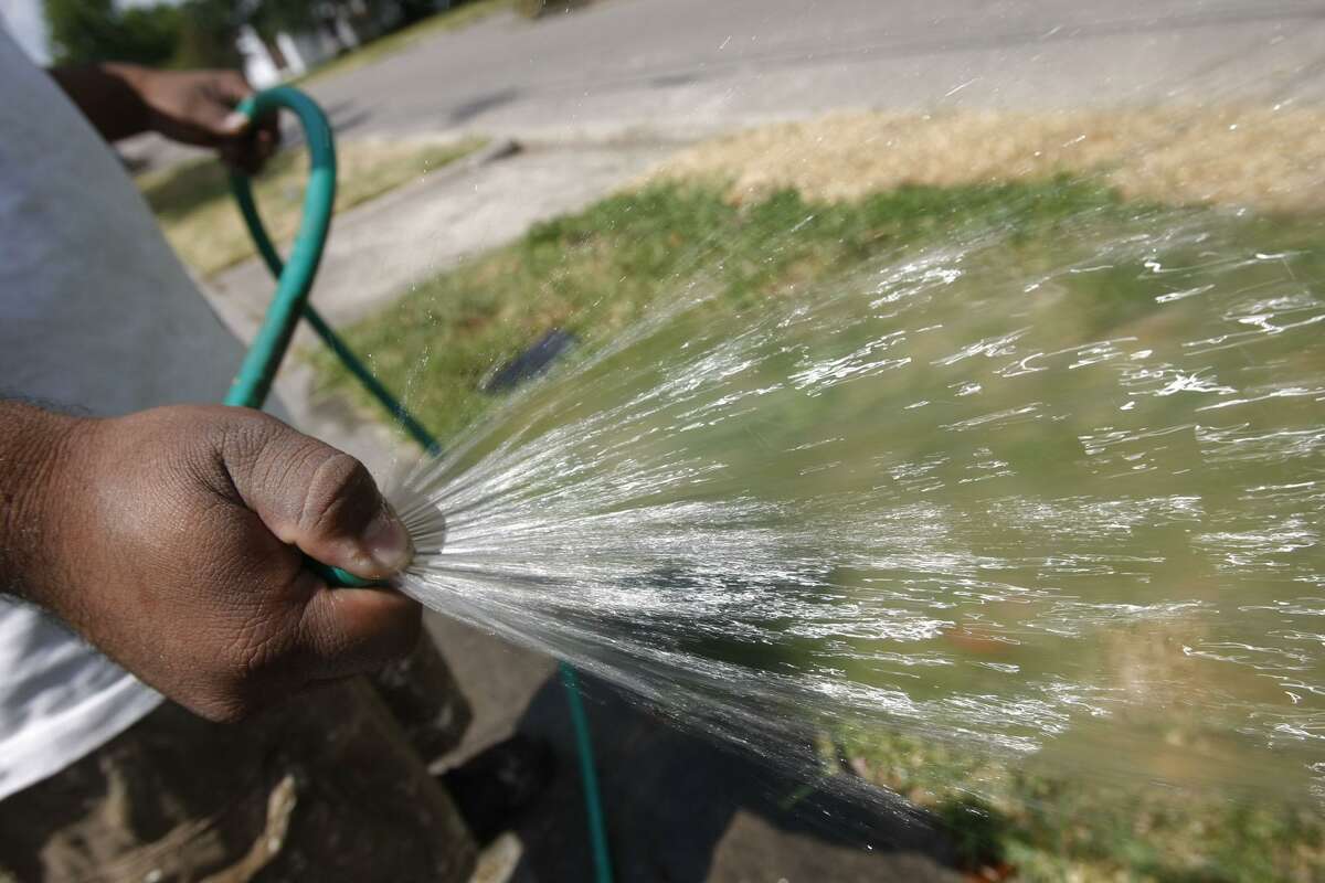 In July, watering is the key. Let SAWS’ recommendations be your guide. For especially hot areas such as along the sidewalk that seem to dry out, give them a little extra water by handheld hose.