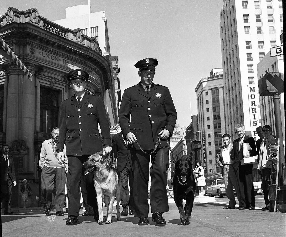 Sept. 24, 1962: Officers Robert McDonnell and Mario Touani with Sultan and Neemo, two of the first dogs in the San Francisco Police Department K-9 corps.